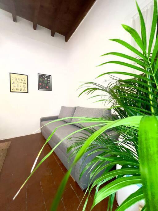 Casa Centro Wi Fi Aria Condizionata Netflix Apartamento Florencia