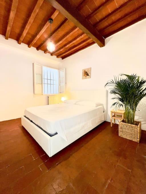 Casa Centro Wi Fi Aria Condizionata Netflix Apartamento Florencia